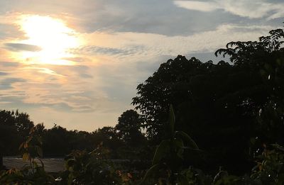 Low angle view of silhouette trees against sky at sunset