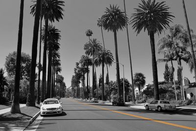 Road passing through trees