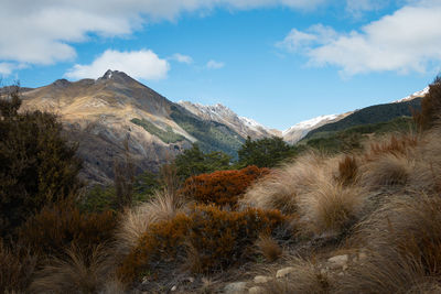 Scenic view of landscape and mountains against sky