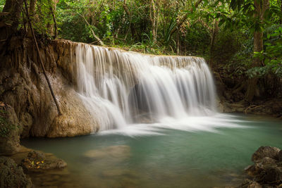 Scenic view of waterfall in forest