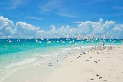 Scenic view of beach against blue sky