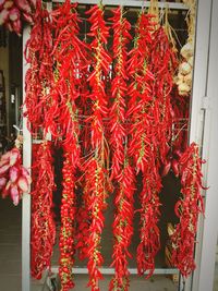 Close-up of red chili peppers for sale in market