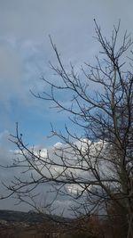 Low angle view of bare tree against sky