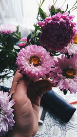 Close-up of hand holding pink flowers