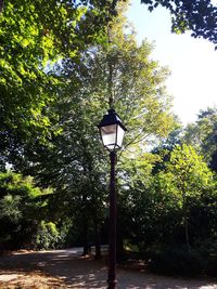 Low angle view of street light against trees