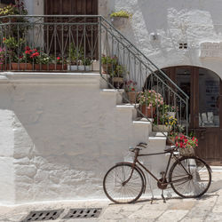 Bicycle on potted plant by building