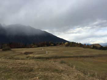 Scenic view of field against sky