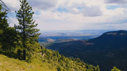Scenic view of tree mountains against sky