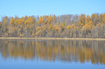 Scenic view of lake by trees against clear sky
