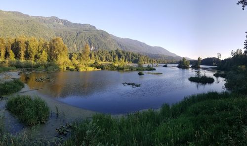 Scenic view of lake against clear sky