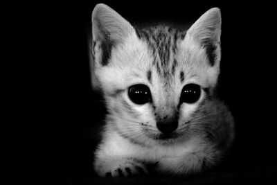 Close-up portrait of human hand
