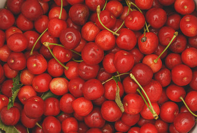 Lot of cherries