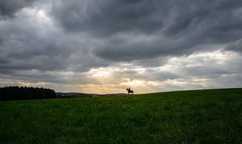 Scenic view of field against cloudy sky