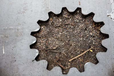 High angle view of bread on table