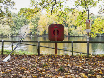 View of autumn leaves in park