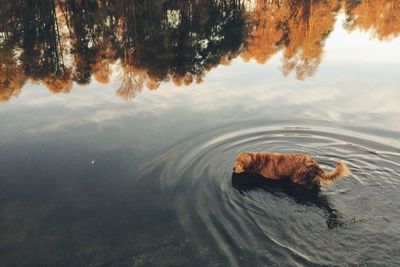 Scenic view of lake