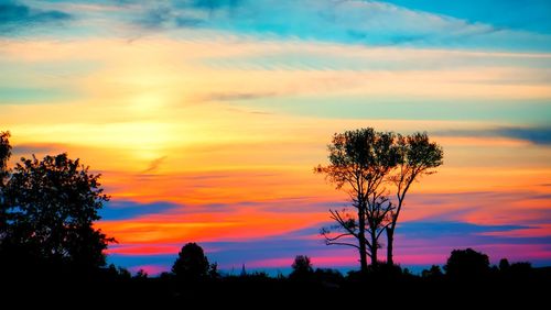Silhouette trees against sky during sunset