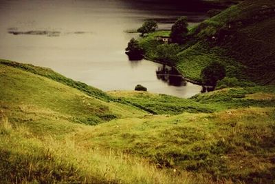 Scenic view of grassy landscape