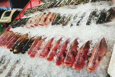 High angle view of fish for sale at market