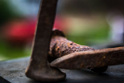 Close-up of rusty metal