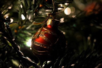 Close-up of ornament hanging on christmas tree