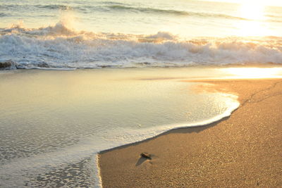 Scenic view of beach during sunset