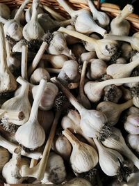 Directly above shot of garlic on basket