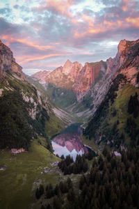 scenics - nature