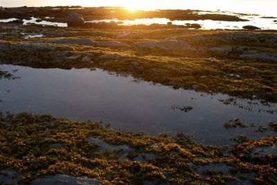 Scenic view of lake against sky during sunset