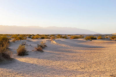 Scenic view of landscape against clear sky