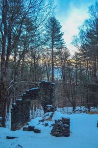 Scenic view of snow covered landscape