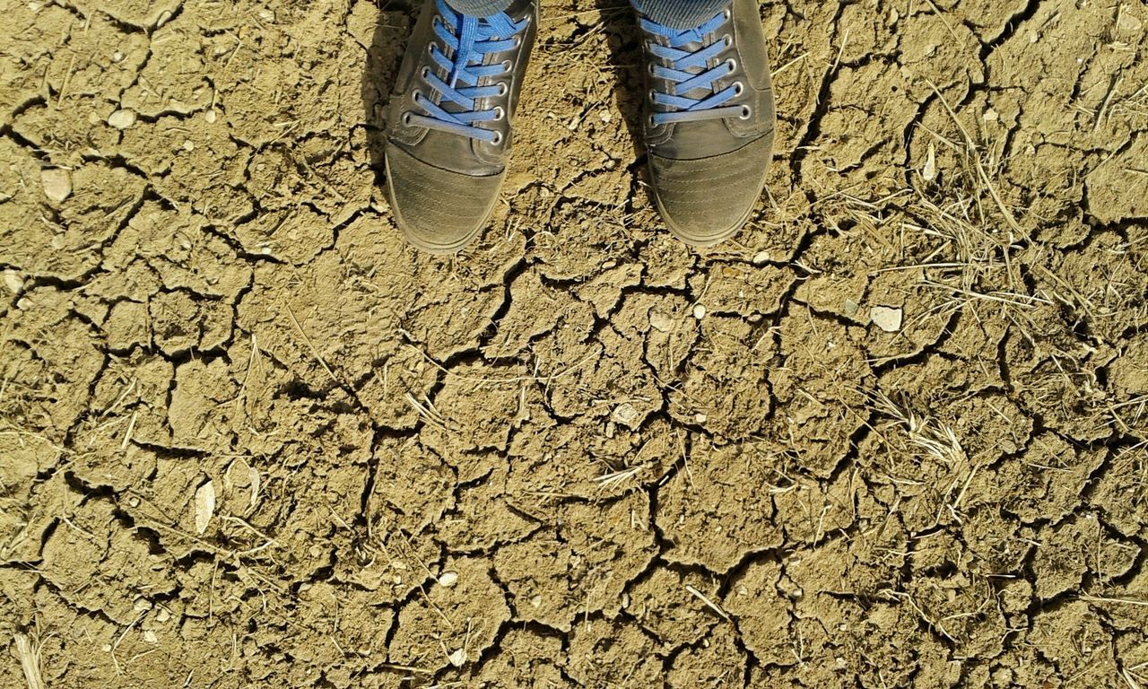 sand, low section, beach, high angle view, full frame, person, pattern, textured, backgrounds, footprint, day, outdoors, sunlight, water, shadow, standing, nature