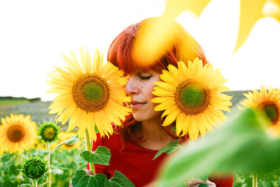 Close-up of yellow flowering plants