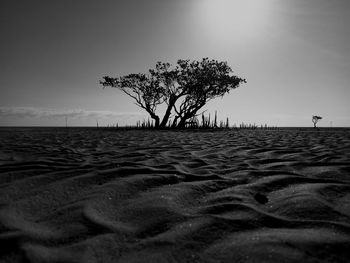 Scenic view of beach against clear sky