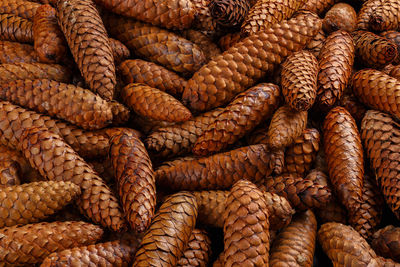 Pile of fir cones - full frame close-up spruce background