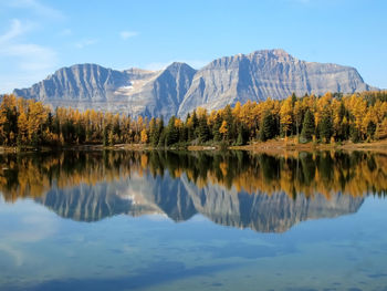 Scenic view of lake by trees against sky