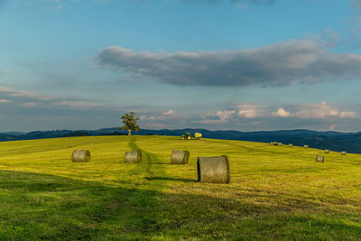 Hay bales on field against sky