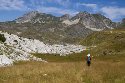 Rear view of man walking on mountain