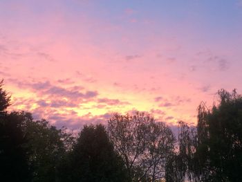 Silhouette trees against sky during sunset