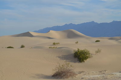 Scenic view of desert against sky