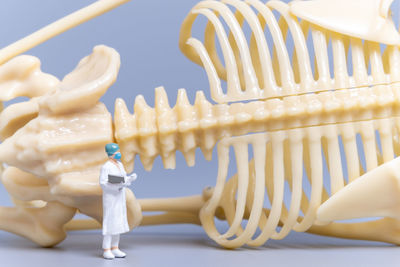 Close-up of dentures on table