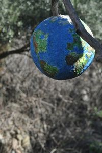 Close-up of tree against blurred background