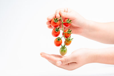 Midsection of woman holding fruit against white background
