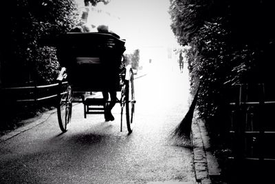 Empty benches in the dark