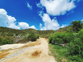 Scenic view of road amidst trees against sky