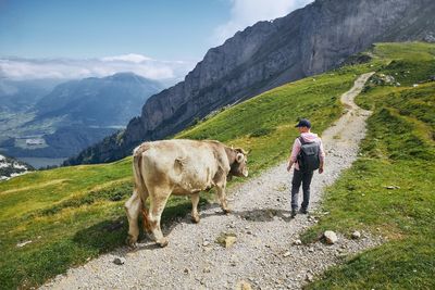 Rear view of man walking on mountains