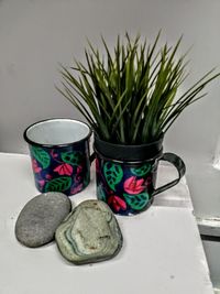 Close-up of potted plants on table