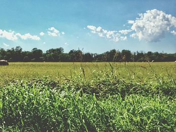 Scenic view of field against cloudy sky