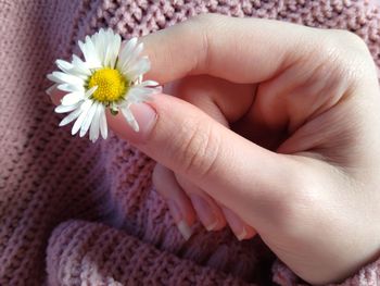 Close-up of hand holding flower