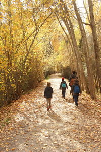 Rear view of people walking on plants during autumn